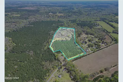 409 Thigpen Road, Quincy, FL 32351 - Photo 2