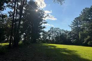 240 Mockingbird Ln, Chattahoochee, FL 32324 - Photo 50