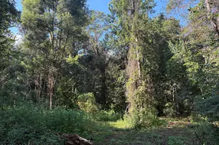 240 Mockingbird Ln, Chattahoochee, FL 32324 - Photo 84
