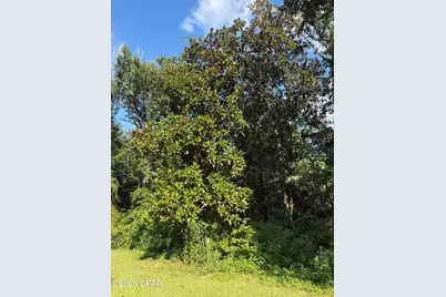 240 Mockingbird Lane, Chattahoochee, FL 32324 - Photo 74