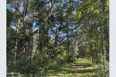 240 Mockingbird Lane, Chattahoochee, FL 32324 - Photo 104