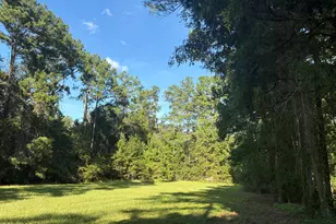 240 Mockingbird Ln, Chattahoochee, FL 32324 - Photo 52
