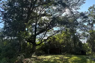 240 Mockingbird Ln, Chattahoochee, FL 32324 - Photo 88