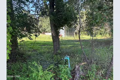 240 Mockingbird Lane, Chattahoochee, FL 32324 - Photo 92