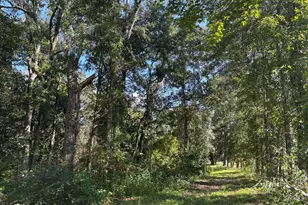 240 Mockingbird Ln, Chattahoochee, FL 32324 - Photo 104