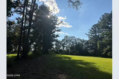 240 Mockingbird Lane, Chattahoochee, FL 32324 - Photo 50