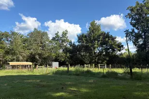 240 Mockingbird Ln, Chattahoochee, FL 32324 - Photo 80