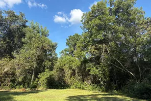 240 Mockingbird Ln, Chattahoochee, FL 32324 - Photo 86