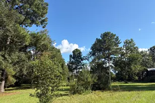 240 Mockingbird Ln, Chattahoochee, FL 32324 - Photo 100