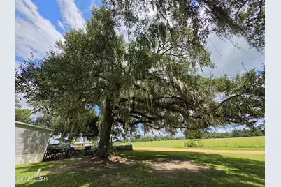 2377 Phillips Road, Cottondale, FL 32431 - Photo 6
