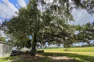 2377 Phillips Rd, Cottondale, FL 32431 - Photo 6