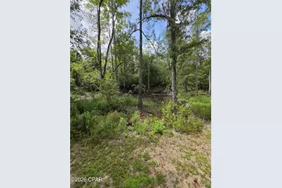 2377 Phillips Road, Cottondale, FL 32431 - Photo 12