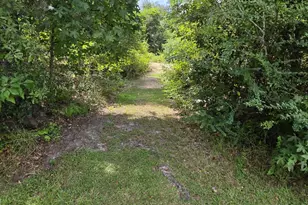 2377 Phillips Rd, Cottondale, FL 32431 - Photo 10