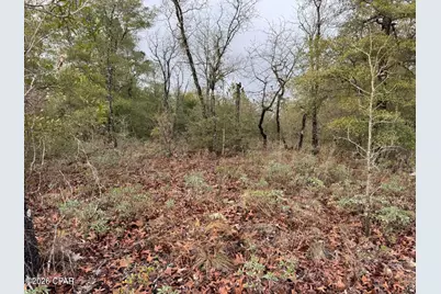 Lot 45 Cavalier Drive, Chipley, FL 32428 - Photo 1