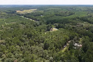 2722 Pioneer Rd, Chipley, FL 32428 - Photo 52