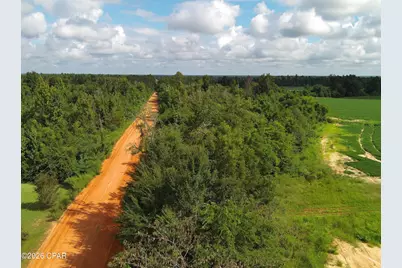 0 Pittman Hill Road, Marianna, FL 32448 - Photo 2