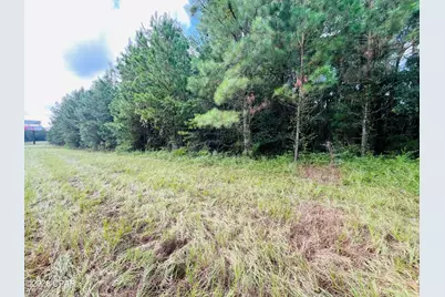 138 Bradwell Lane, Midway, FL 32343 - Photo 4