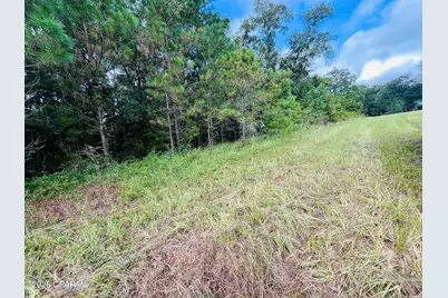 138 Bradwell Lane, Midway, FL 32343 - Photo 1