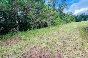 138 Bradwell Ln, Midway, FL 32343 - Photo 1