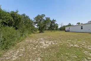 21835 Lake McKenzie Blvd, Altha, FL 32421 - Photo 32