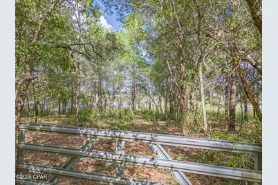 Lot 65/66 Woodymarion Drive, Chipley, FL 32428 - Photo 14