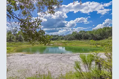 Lot 65/66 Woodymarion Drive, Chipley, FL 32428 - Photo 6