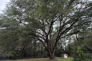 1976 Jesse's Rd, Bonifay, FL 32425 - Photo 36