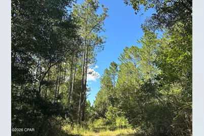 Tract#6421 Clayton Road, Caryville, FL 32425 - Photo 1