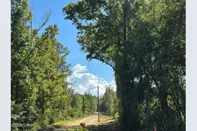 Tract#6421 Clayton Road, Caryville, FL 32425 - Photo 6