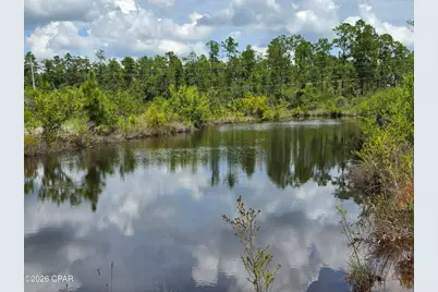 0000 Alex Drive, Fountain, FL 32438 - Photo 2