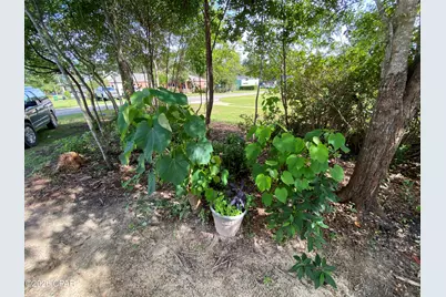 3011 2nd Street, Marianna, FL 32446 - Photo 8