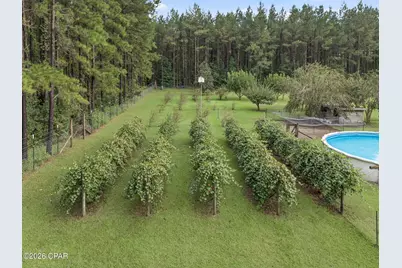 2434 Topaz Road, Cottondale, FL 32431 - Photo 28