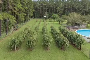 2434 Topaz Rd, Cottondale, FL 32431 - Photo 28