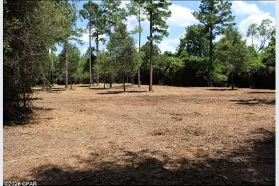 00 Reserve Drive, Marianna, FL 32446 - Photo 4