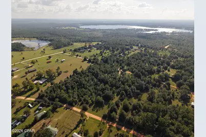 Tbd Kuwait Lane, Alford, FL 32420 - Photo 16