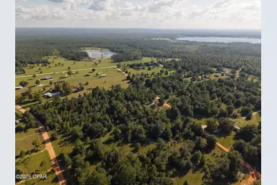 Tbd Kuwait Lane, Alford, FL 32420 - Photo 24