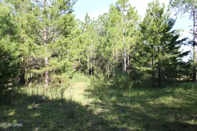 Tbd Kuwait Lane, Alford, FL 32420 - Photo 6