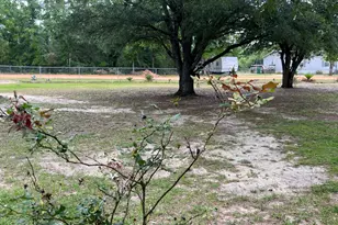 2541 Corral Dr, Alford, FL 32420 - Photo 20