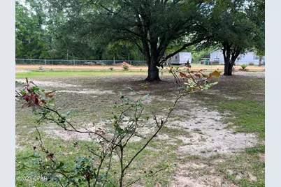 2541 Corral Drive, Alford, FL 32420 - Photo 20