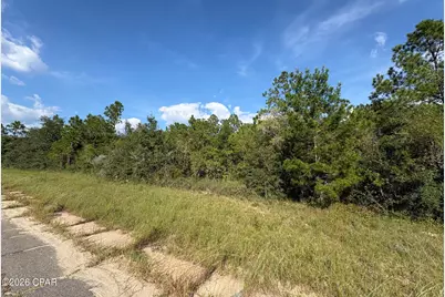 Lot 31 Goodman Hill Road, Chipley, FL 32428 - Photo 2