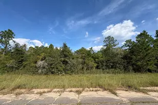 Lot 31 Goodman Hill Rd, Chipley, FL 32428 - Photo 1