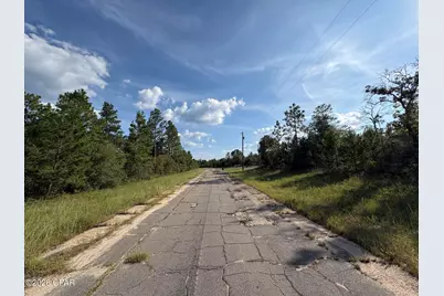 Lot 31 Goodman Hill Road, Chipley, FL 32428 - Photo 4