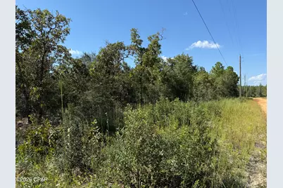 0000 Crossvine Court, Chipley, FL 32428 - Photo 2