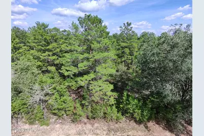 Lot 10 Norwood Avenue, Chipley, FL 32428 - Photo 4