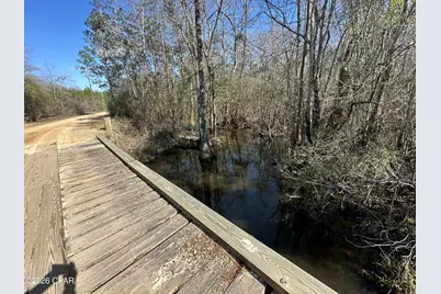 Tract#6317 N Harris Stevenson Road, Bonifay, FL 32425 - Photo 12