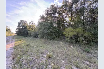 Lot 16 Channing Drive, Chipley, FL 32428 - Photo 4