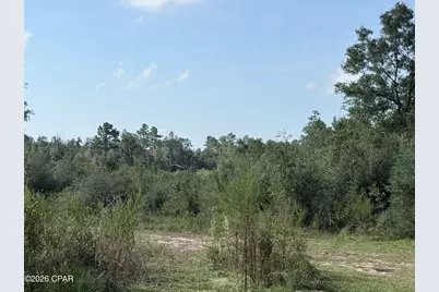 2297 Reedy Creek Road, Alford, FL 32420 - Photo 10