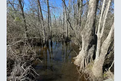Tract#6317 S Harris Stevenson Road, Bonifay, FL 32425 - Photo 14