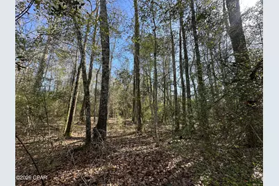 Tract#6317 S Harris Stevenson Road, Bonifay, FL 32425 - Photo 4