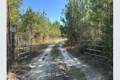 Tract#6317 S Harris Stevenson Road, Bonifay, FL 32425 - Photo 16